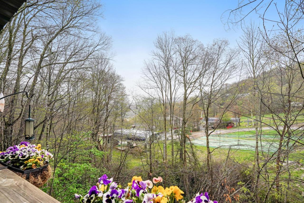 Bee Branch 27 Apartment Sugar Mountain Luaran gambar
